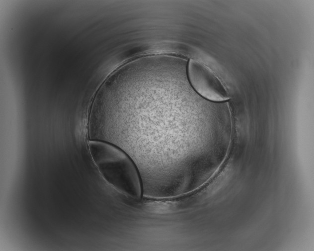 X0000101961185200807251148