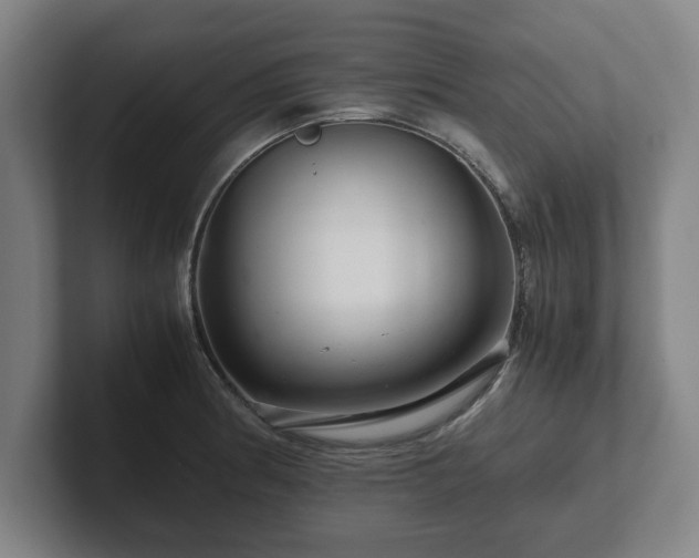 X0000101961186200807251148