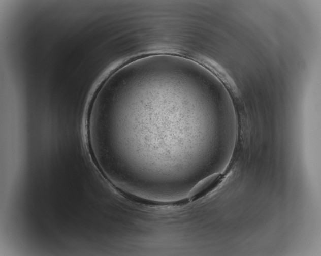 X0000101961188200807251148