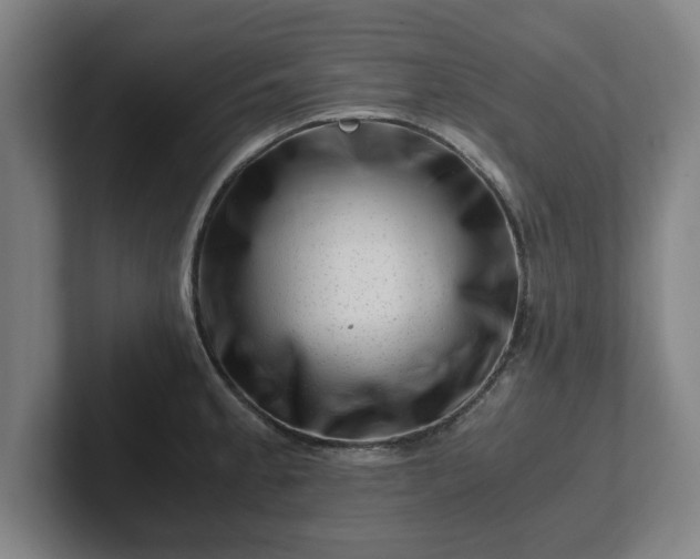 X0000101961189200807251148