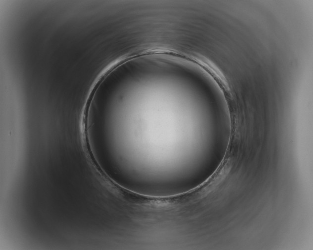 X0000101961190200807251148