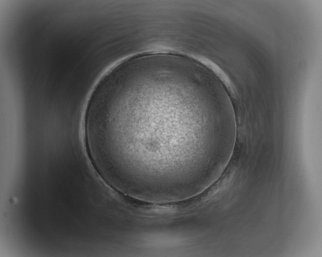 X0000101961191200807251148