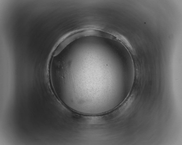 X0000101961192200807251148