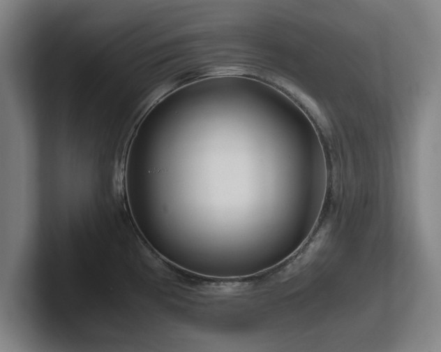 X0000101961193200807251148