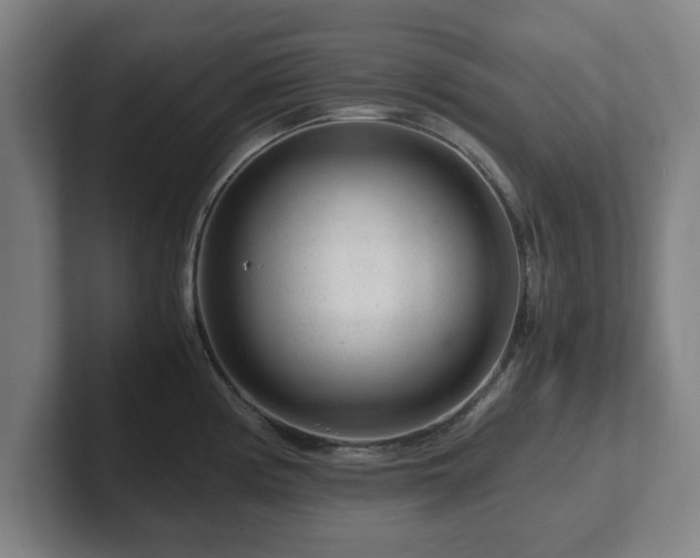 X0000101961194200807251148