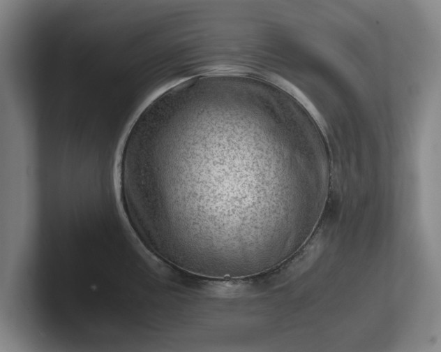 X0000101961195200807251148