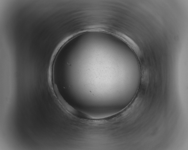 X0000101961196200807251148