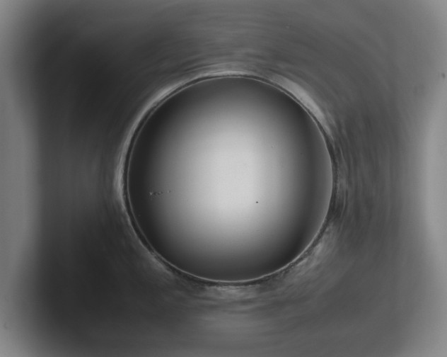 X0000101961197200807251148