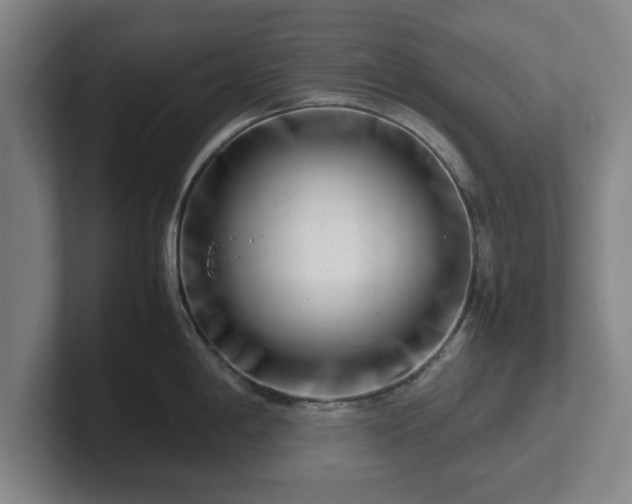 X0000101961198200807251148