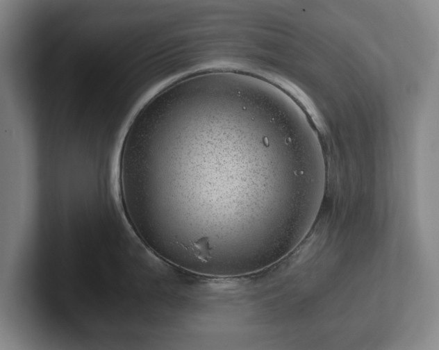 X0000101961199200807251148