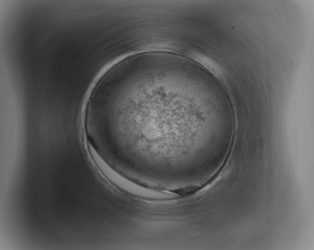 X0000101961200200807251148