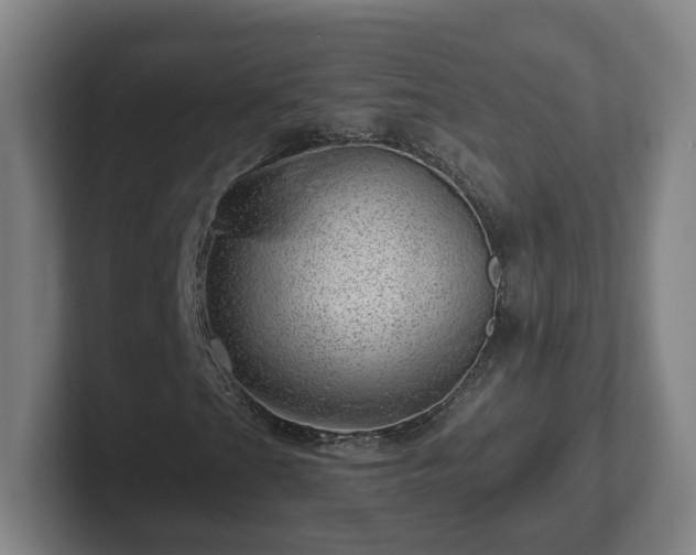 X0000101961201200807251147