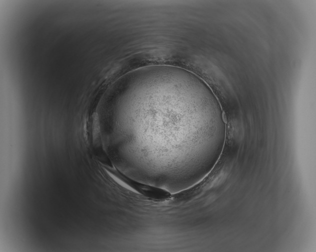 X0000101961202200807251147