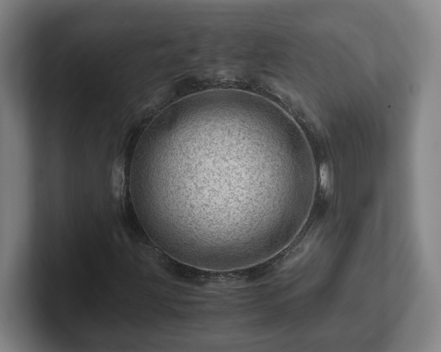 X0000101961203200807251147