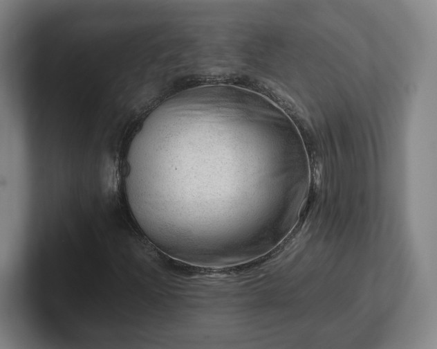 X0000101961204200807251147