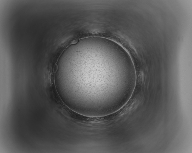 X0000101961205200807251148