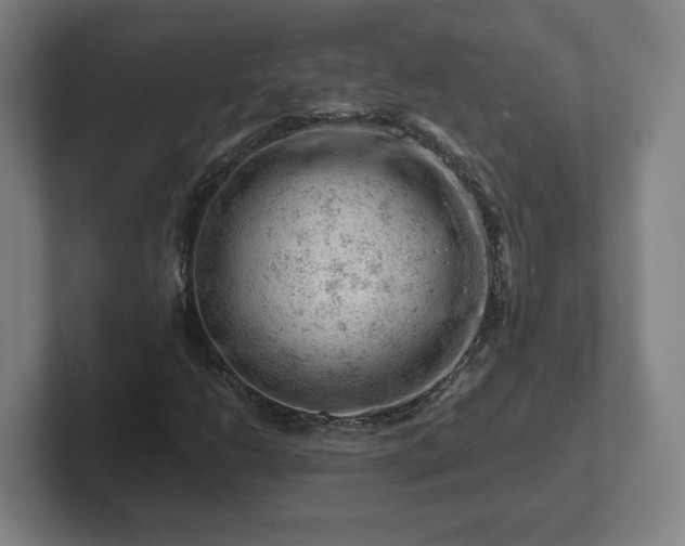 X0000101961206200807251148