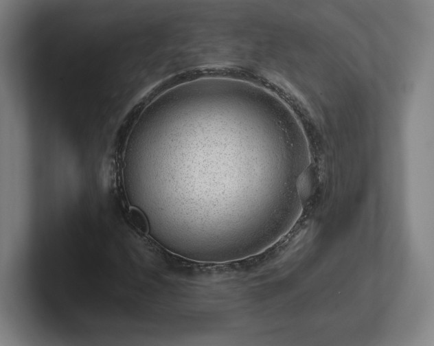 X0000101961208200807251148