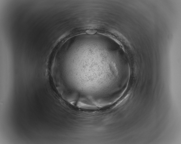 X0000101961210200807251148