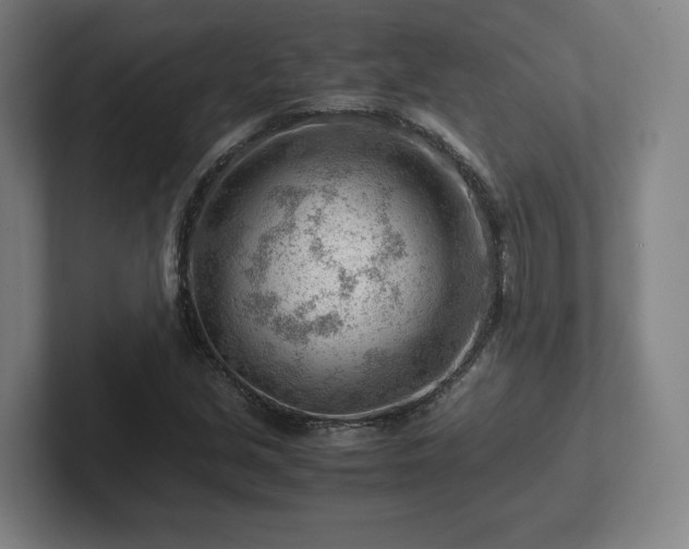 X0000101961213200807251148