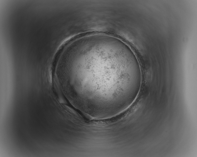 X0000101961214200807251148