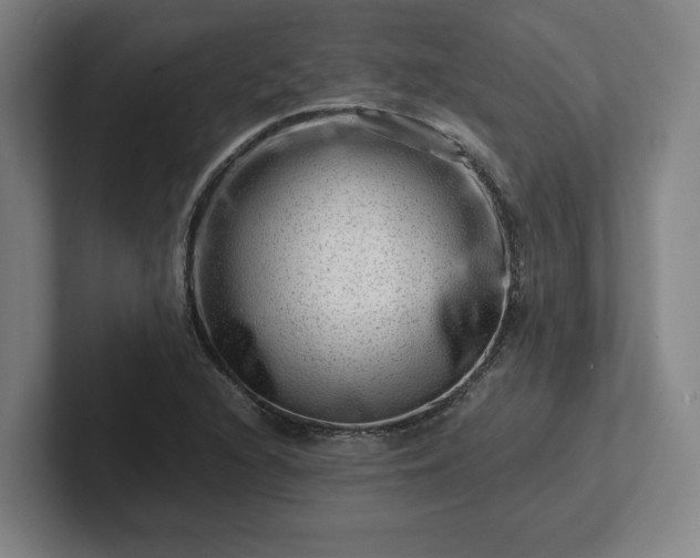 X0000101961216200807251148