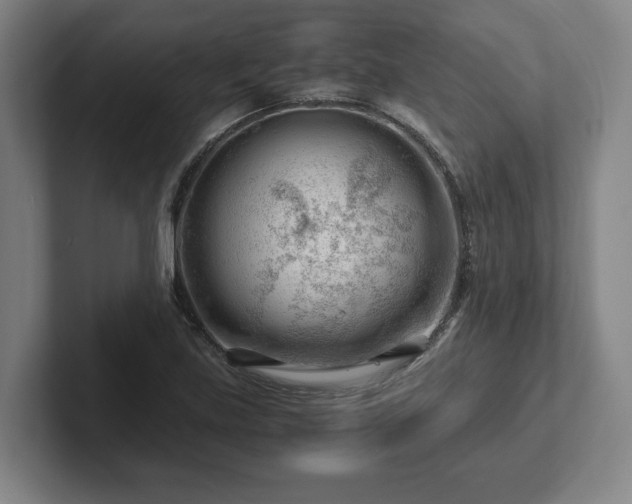 X0000101961219200807251148