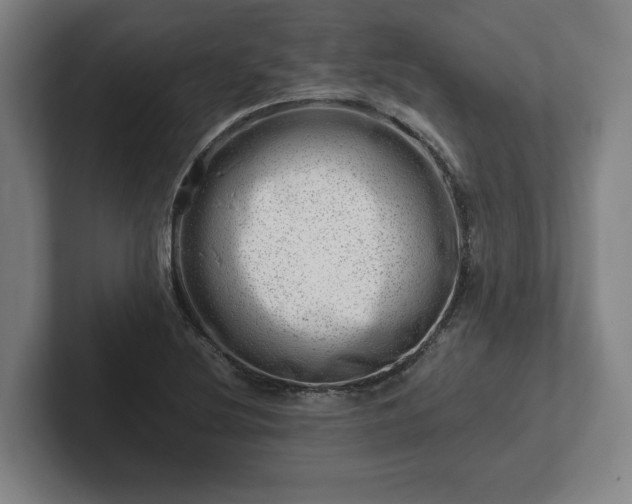 X0000101961220200807251148