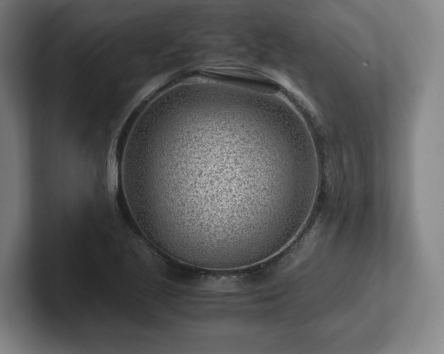 X0000101961221200807251148