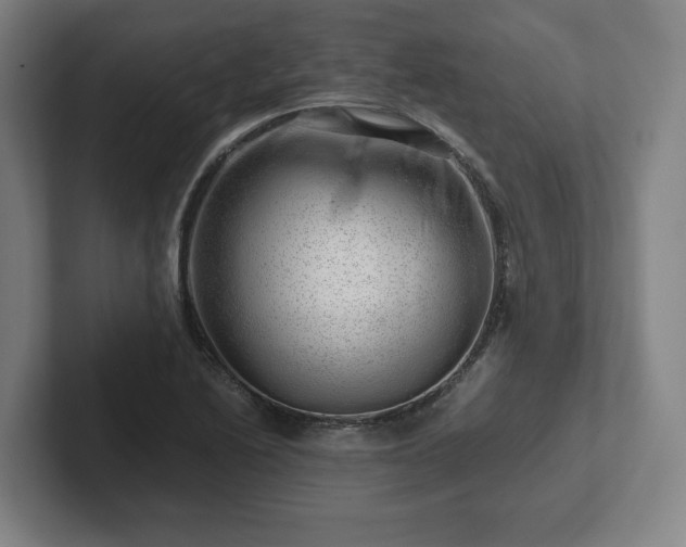 X0000101961222200807251148