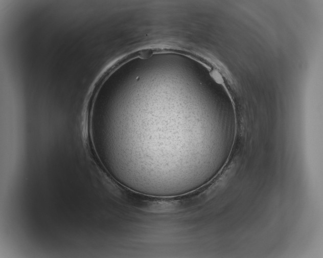 X0000101961224200807251148