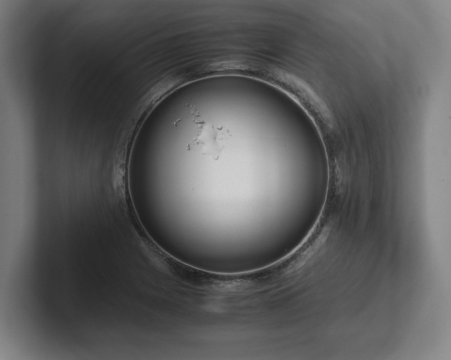 X0000101961225200807251148