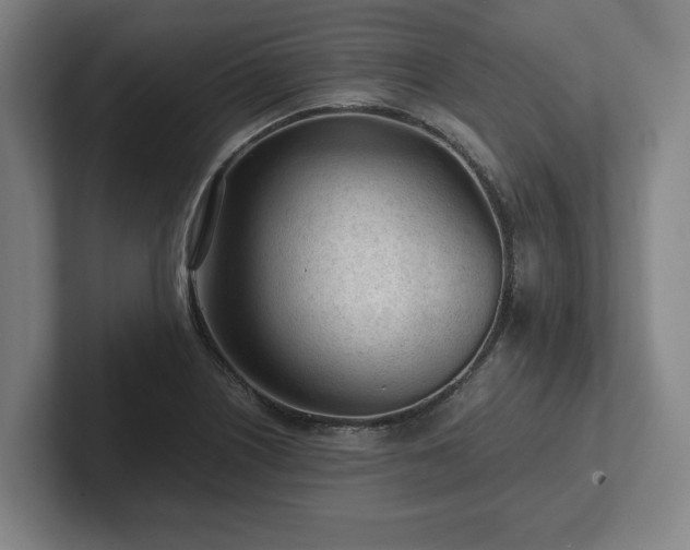 X0000101961226200807251148