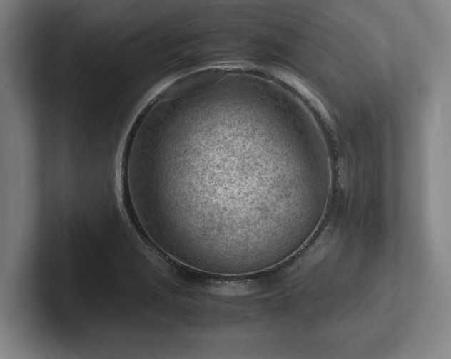 X0000101961229200807251148