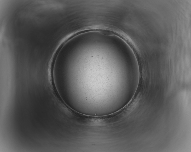 X0000101961230200807251148