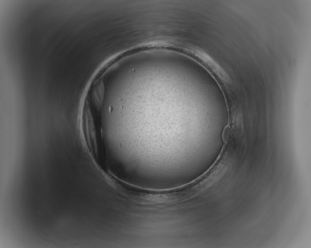 X0000101961232200807251148