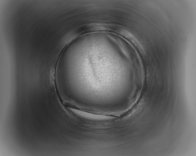 X0000101961233200807251148