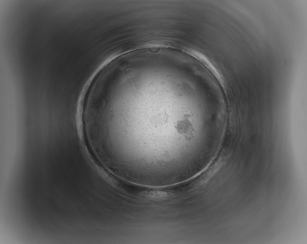 X0000101961235200807251148