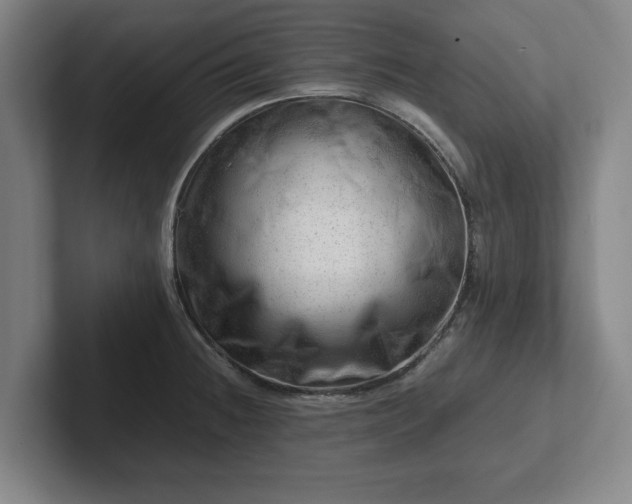 X0000101961236200807251148