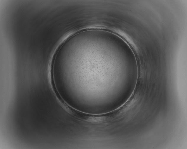 X0000101961237200807251148