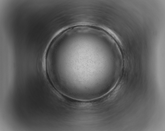 X0000101961238200807251148