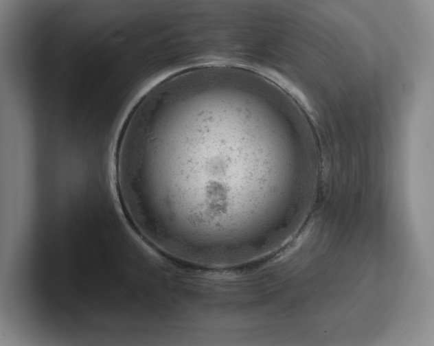 X0000101961239200807251148