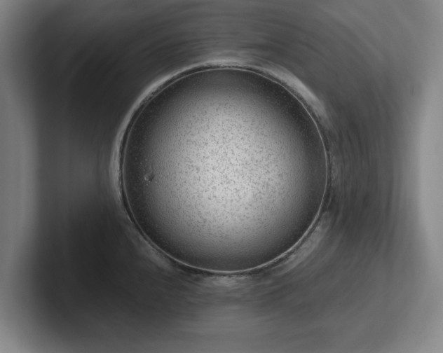 X0000101961240200807251148