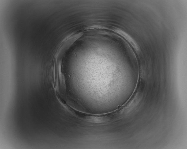 X0000101961241200807251148