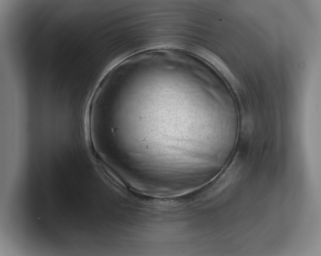 X0000101961242200807251148