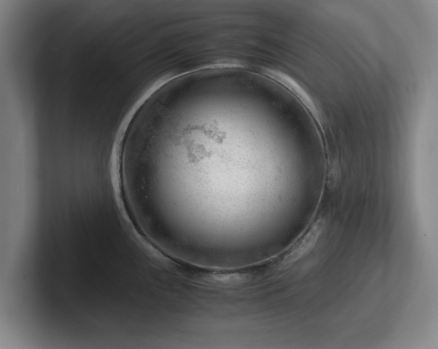 X0000101961243200807251148