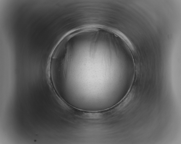 X0000101961244200807251148