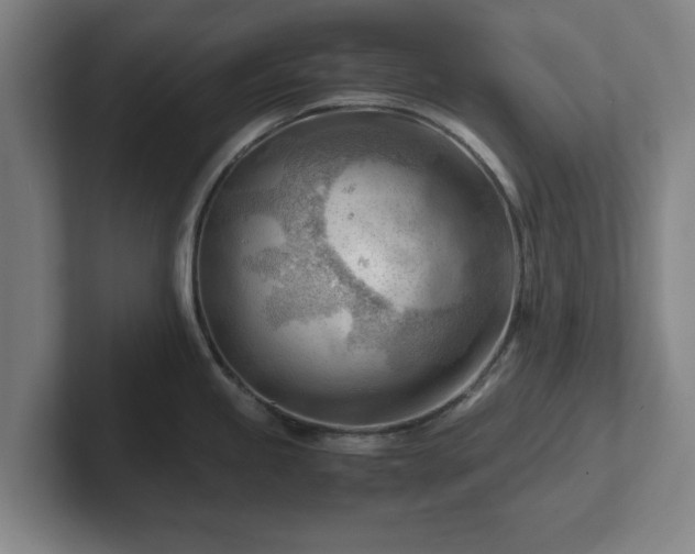 X0000101961245200807251148