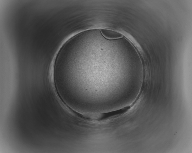 X0000101961246200807251148