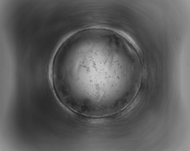 X0000101961247200807251148